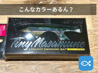 こんなカラーを初めて見た!!発想の転換?外に塗る必要ないんだ。