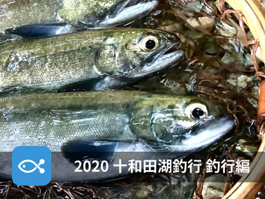 2020年度、十和田湖にヒメマスを狙いに行ってきた!【釣行編】