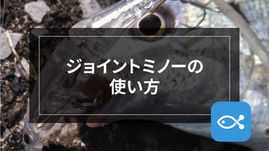【ライトゲーム】ジョイントミノーを使いこなそう!
