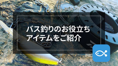 【ブラックバス】必需品と便利なオススメアイテムを5選紹介