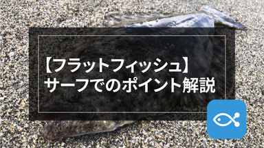 【サーフゲーム】広大なサーフから釣れるポイントをみつけよう。