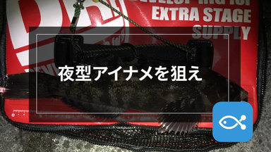 【ロックゲーム】夜型に移行したアイナメを狙え! ナイトも熱いロックフィッシュ!
