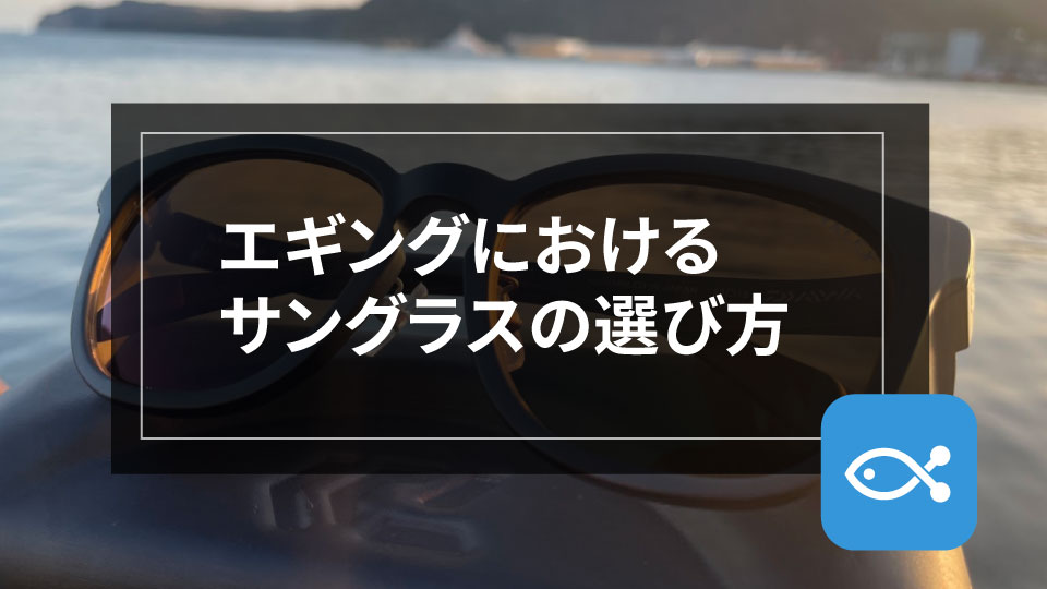 エギング サングラス選びについて話します アングラーズ 釣果250万件の魚釣り情報サイト