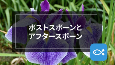 【ブラックバス】シーズン本番!これからの時期に向けて。