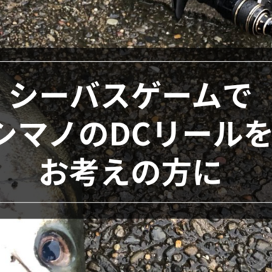 【シーバス】シーバスゲームにシマノのDCリールをお考えの方に