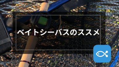 【シーバス】ベイトシーバスのススメ