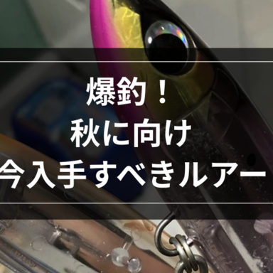 【シーバス】爆釣！秋に向け今入手すべきルアー