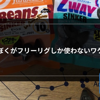 【チニング】ぼくがフリーリグしか使わないワケ