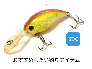オススメアイテム紹介③ クランクベイト