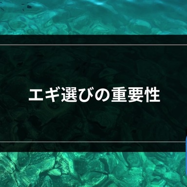 ヒイカの釣果 釣り情報まとめ 21年最新 アングラーズ 釣果250万件の魚釣り情報サイト