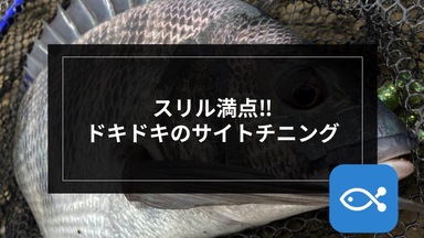 【チニング】スリル満点‼️ドキドキのサイトチニング