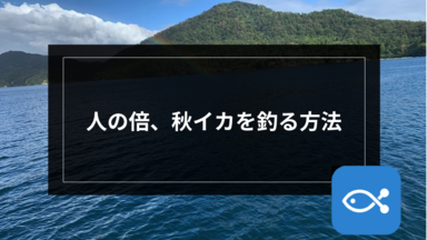 【エギング】人の倍、秋イカを釣る方法