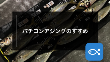 【アジング】バチコンアジングのススメ。バチコンを始めてみよう。