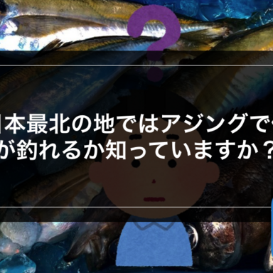 【ライトゲーム】日本最北の地ではアジングで何が釣れるか知っていますか？  