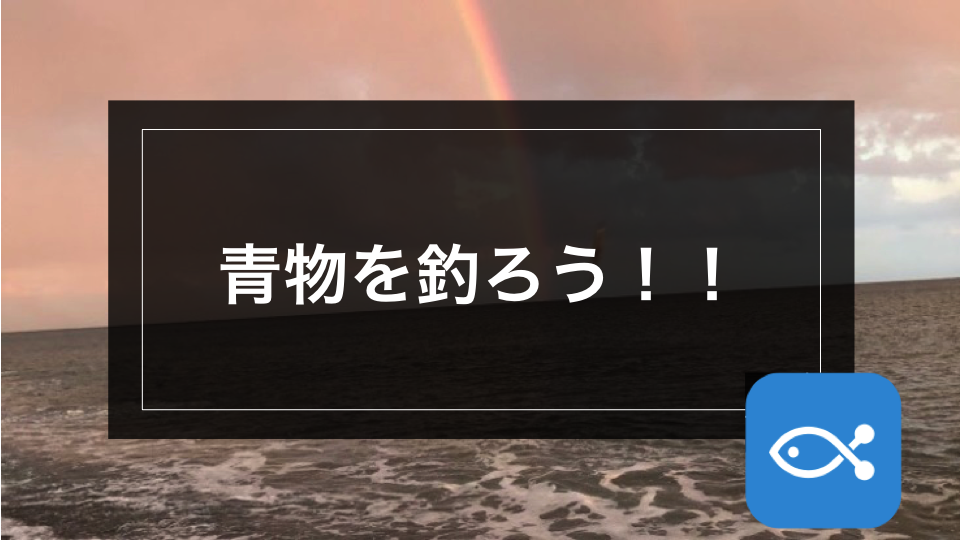 サーフゲーム 晩秋サーフの大人気ターゲット 青物を釣ろう アングラーズ 釣果360万件の魚釣り情報サイト