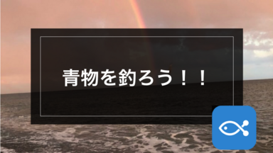 【サーフゲーム】晩秋サーフの大人気ターゲット、青物を釣ろう