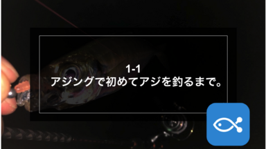 【アジング】1-1アジングで初めてアジを釣るまで。