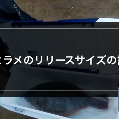 【サーフゲーム】ヒラメのリリースサイズの話