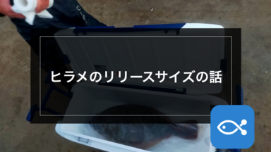 【サーフゲーム】ヒラメのリリースサイズの話