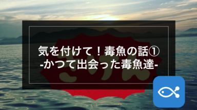 【ライトゲーム】気を付けて!毒魚の話①-かつて出会った毒魚達-