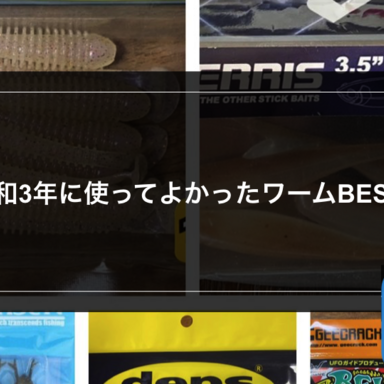 【ライトゲーム】令和3年に使ってよかったワームBEST5