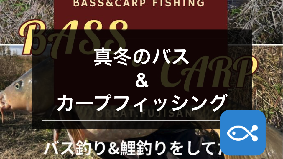 特別企画 冬のバス Amp カープフィッシング アングラーズ 釣果360万件の魚釣り情報サイト