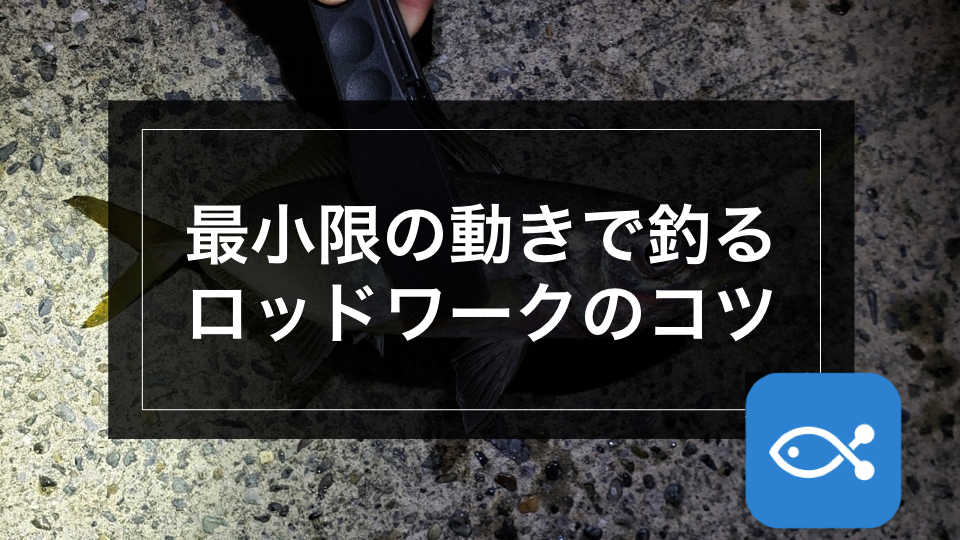 アジング 最小限の動きで釣るロッドワークのコツ アングラーズ 釣果300万件の魚釣り情報サイト
