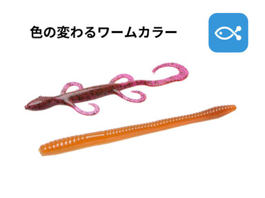 色が変わる?実は、定番にはならなかった特殊なワームカラーがある。