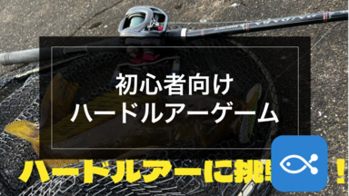 【ロックゲーム】初心者向けハードルアーゲーム