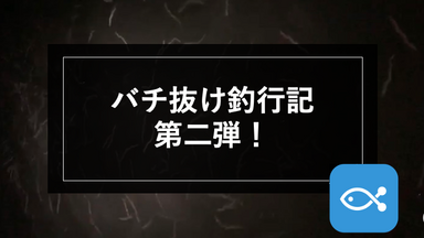 【シーバス】バチ抜け釣行記第二弾