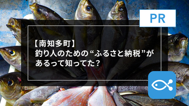 【南知多町】釣り人のための”ふるさと納税”があるって知ってた?