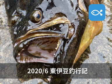 マッチザベイトを意識して釣りをしてみよう。
