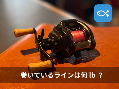 そのリールに巻いてあるのはどこのメーカーの何ポンド?いつ巻いた?