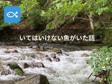 とある河川に行ったら、いてはいけない魚がいた。