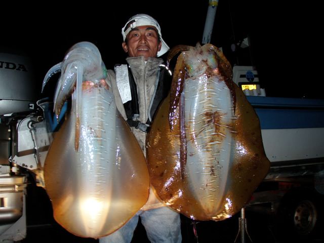 豆や 東京都 22年最新 アングラーズ 釣果360万件の魚釣り情報サイト