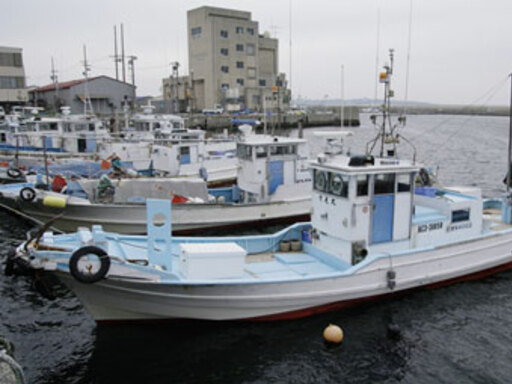 ぽんすけまる ﾟ Nsburwell People Ysu Edu