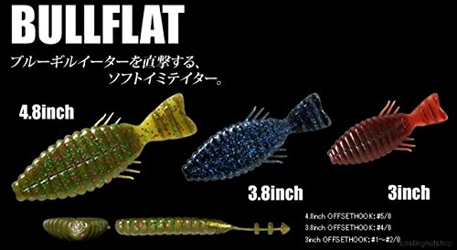 ビワコオオナマズの釣果 釣り情報まとめ 22年最新 アングラーズ 釣果300万件の魚釣り情報サイト