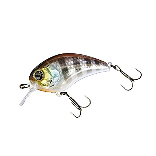ジャッカル Jackall マッシュボブ50sr マッシュボブ50sr アングラーズ 釣果360万件の魚釣り情報サイト