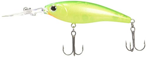 Daiwa スティーズシャッド60sp Mr 赤羽ライム アングラーズ 釣果190万件の魚釣り情報サイト Daiwa スティーズシャッド60sp Mr 赤羽ライム アングラーズ 釣果190万件の魚釣り情報サイト