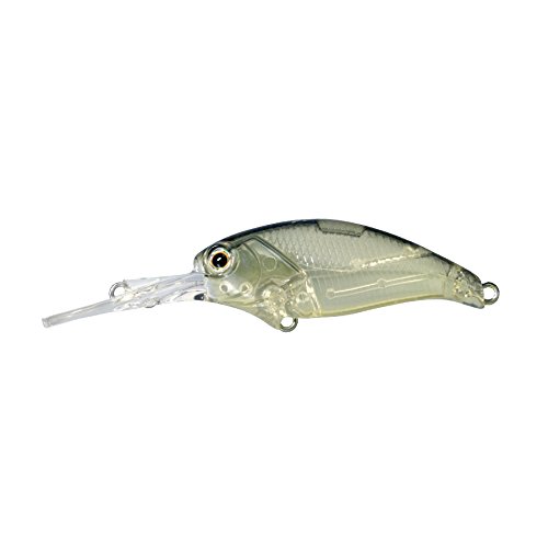Deps イヴォークシャッド プロブルーシャッド アングラーズ 釣果190万件の魚釣り情報サイト Deps イヴォークシャッド プロブルーシャッド アングラーズ 釣果190万件の魚釣り情報サイト