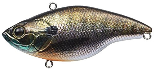 Evergreen ブザービーター ビワコギル アングラーズ 釣果190万件の魚釣り情報サイト Evergreen ブザービーター ビワコギル アングラーズ 釣果190万件の魚釣り情報サイト
