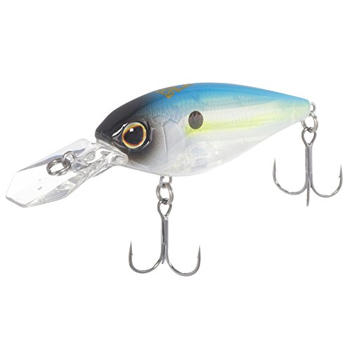 Berkley Dex Sc55f Rds アングラーズ 釣果250万件の魚釣り情報サイト
