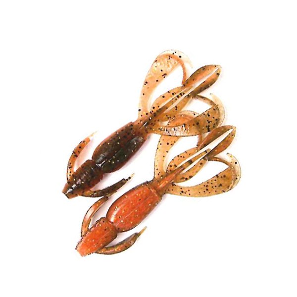 シャコの釣果 釣り情報まとめ 22年最新 アングラーズ 釣果360万件の魚釣り情報サイト