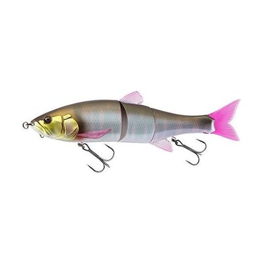 おもなが さんの釣り人プロフィール アングラーズ 釣果300万件の魚釣り情報サイト