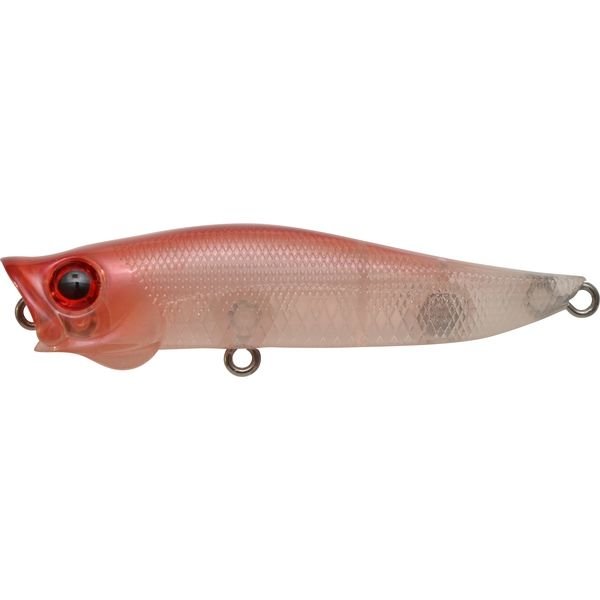 Jackson R A Pop イカ アングラーズ 釣果0万件の魚釣り情報サイト Jackson R A Pop イカ アングラーズ 釣果0万件の魚釣り情報サイト