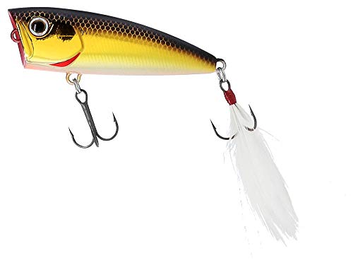 Daiwa スティーズ ポッパー 50f クロキン アングラーズ 釣果0万件の魚釣り情報サイト