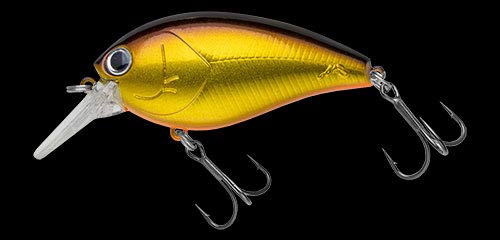Nories ショットオメガビッグ62 プレミアムゴールドシャッド アングラーズ 釣果250万件の魚釣り情報サイト