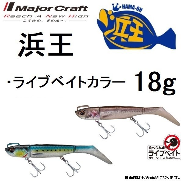 ダツが釣れたルアー アングラーズ 釣果250万件の魚釣り情報サイト