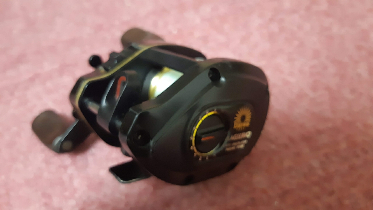 Daiwa Phantom Magservo Gs 10 アングラーズ 釣果190万件の魚釣り情報サイト