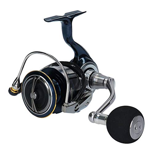 Daiwa 19certate 5000dxh アングラーズ 釣果300万件の魚釣り情報サイト